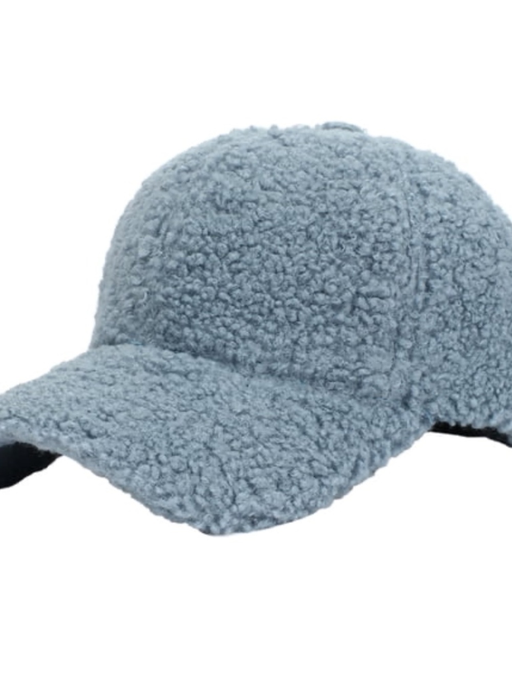 NWOT Light Blue Teddy Fleece Baseball Cap